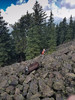 photo thumbnail #3