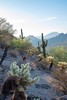 photo thumbnail #15