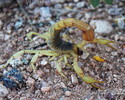 photo thumbnail #3