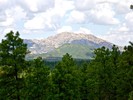 2018-08-25 :1: Prescott Circle Trail - Trail #393 :: kingsnake