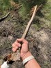 photo thumbnail #5