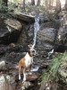 photo thumbnail #8