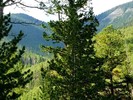 photo thumbnail #7