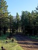 photo thumbnail #8