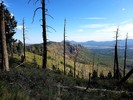 photo thumbnail #11