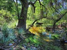 photo thumbnail #9