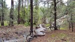 photo thumbnail #6