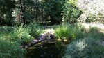 photo thumbnail #11