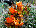 photo thumbnail #6