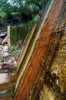 photo thumbnail #15
