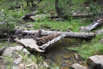 photo thumbnail #6