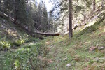 photo thumbnail #12