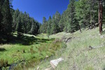 photo thumbnail #14