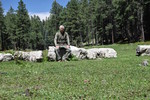 photo thumbnail #8