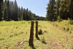 photo thumbnail #10