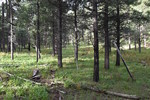 photo thumbnail #4
