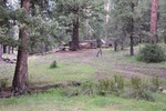 photo thumbnail #6