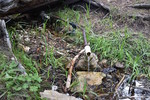 photo thumbnail #8