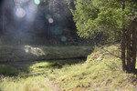 photo thumbnail #11
