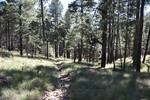 photo thumbnail #1