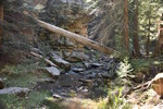 photo thumbnail #10