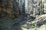 photo thumbnail #12