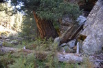 photo thumbnail #13