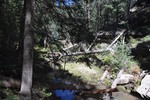photo thumbnail #14