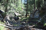 photo thumbnail #15