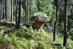 photo thumbnail #2