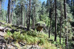 photo thumbnail #3