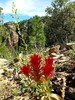photo thumbnail #10