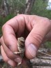 photo thumbnail #3