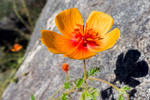photo thumbnail #13