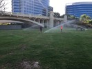 photo thumbnail #1