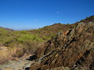 photo thumbnail #5