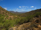 photo thumbnail #7