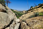 photo thumbnail #5