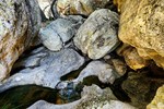 photo thumbnail #13