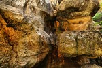 photo thumbnail #14