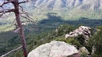 photo thumbnail #12
