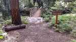 photo thumbnail #15