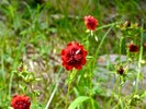photo thumbnail #13