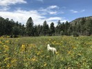 photo thumbnail #1