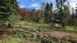 photo thumbnail #8