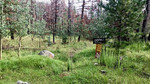 photo thumbnail #9