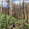 photo thumbnail #11