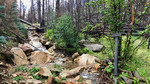photo thumbnail #12