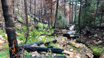 photo thumbnail #13