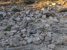 photo thumbnail #15